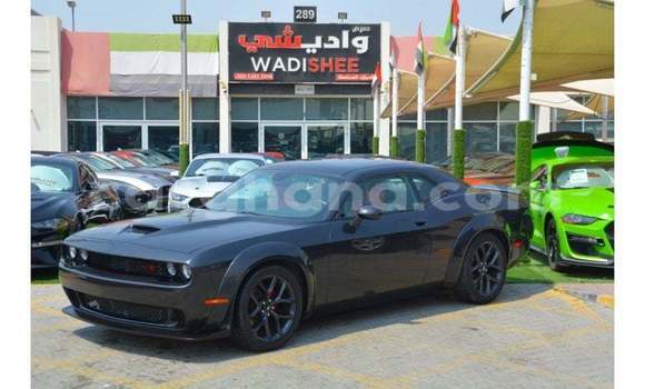 Sayi Imported Dodge Challenger Sauran Mota in Import - Dubai a Ashanti