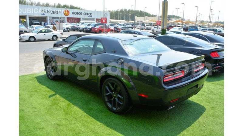 Big with watermark dodge challenger ashanti import dubai 56785