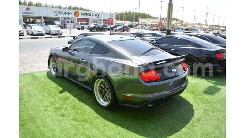 Big with watermark ford mustang ashanti import dubai 56786