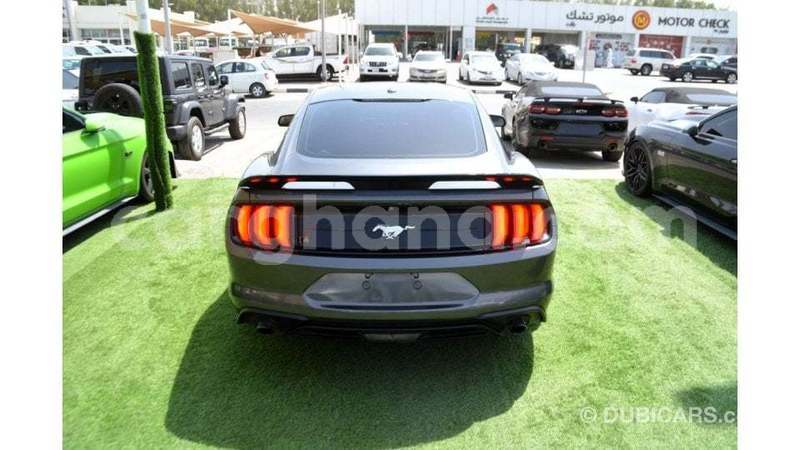 Big with watermark ford mustang ashanti import dubai 56786