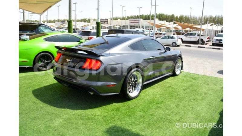 Big with watermark ford mustang ashanti import dubai 56786