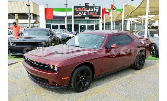 Sayi Imported Dodge Challenger Sauran Mota in Import - Dubai a Ashanti