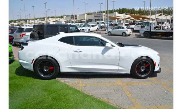 Buy Import Chevrolet Camaro White Car in Import - Dubai in Ashanti Buy Import Chevrolet Camaro White Car in Import - Dubai in Ashanti