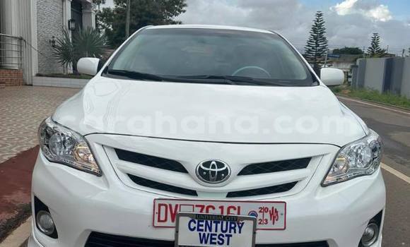 Sayi Na hannu Toyota Corolla White Mota in Accra a Greater Accra