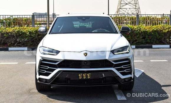 Buy Import Lamborghini Urus White Car in Import - Dubai in Ashanti Buy Import Lamborghini Urus White Car in Import - Dubai in Ashanti
