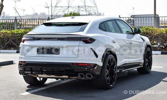 Buy Import Lamborghini Urus White Car in Import - Dubai in Ashanti Buy Import Lamborghini Urus White Car in Import - Dubai in Ashanti