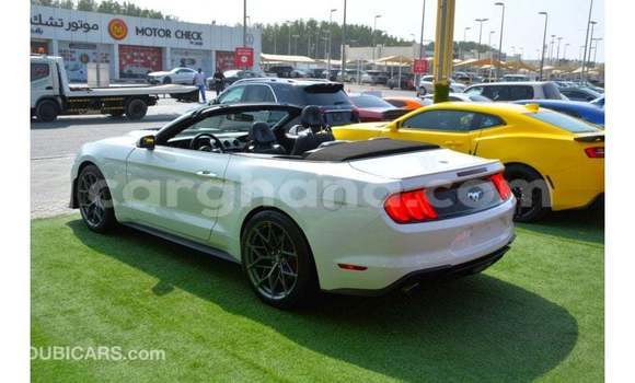 Ra Imported Ford Mustang funfun Ọkọ̀ in Import - Dubai ni Ashanti Ra Imported Ford Mustang funfun Ọkọ̀ in Import - Dubai ni Ashanti