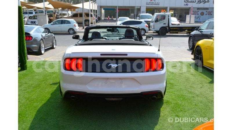 Big with watermark ford mustang ashanti import dubai 57044