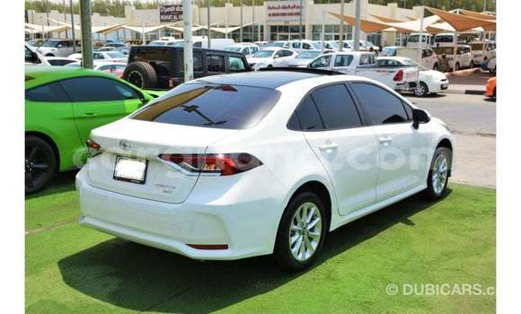 Buy Import Toyota Corolla White Car in Import - Dubai in Ashanti Buy Import Toyota Corolla White Car in Import - Dubai in Ashanti