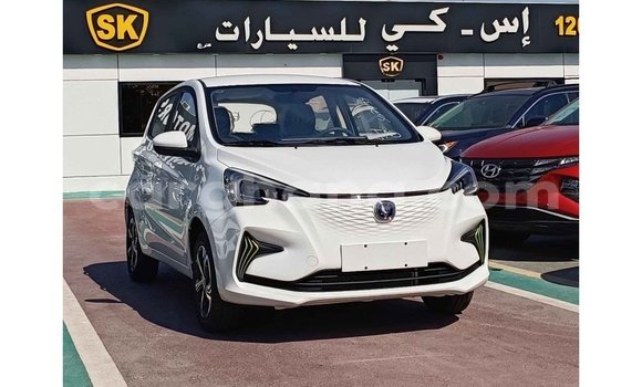 Ra Imported Changan Benni funfun Ọkọ̀ in Import - Dubai ni Ashanti