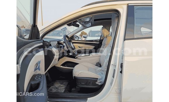 Buy Import Hyundai Tucson White Car in Import - Dubai in Ashanti Buy Import Hyundai Tucson White Car in Import - Dubai in Ashanti