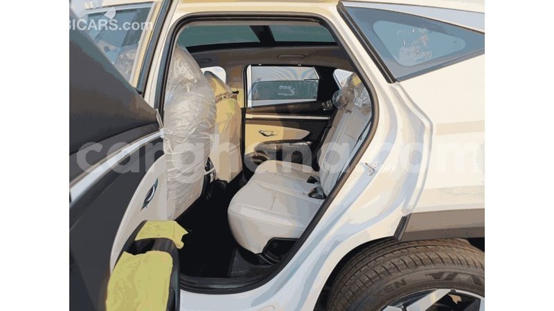 Big with watermark hyundai tucson ashanti import dubai 57257