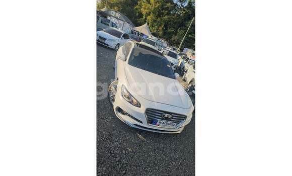 Buy Import Hyundai Elantra White Car in Import - Dubai in Ashanti Buy Import Hyundai Elantra White Car in Import - Dubai in Ashanti