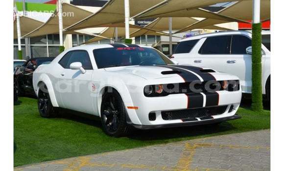 Buy Import Dodge Challenger White Car in Import - Dubai in Ashanti Buy Import Dodge Challenger White Car in Import - Dubai in Ashanti
