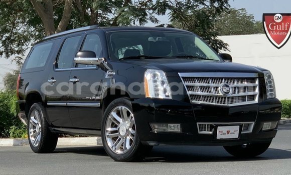 Buy Import Cadillac Escalade Black Car in Import - Dubai in Ashanti