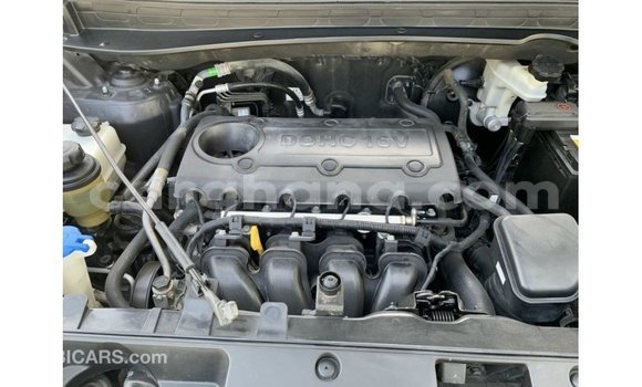 Buy Import Kia Sportage Black Car in Import - Dubai in Ashanti Buy Import Kia Sportage Black Car in Import - Dubai in Ashanti