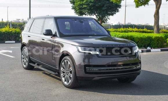 Sayi Imported Land Rover Range Rover Sauran Mota in Import - Dubai a Ashanti