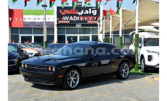 Sayi Imported Dodge Challenger Black Mota in Import - Dubai a Ashanti