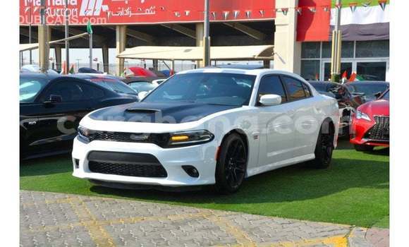 Buy Import Dodge Charger White Car in Import - Dubai in Ashanti Buy Import Dodge Charger White Car in Import - Dubai in Ashanti