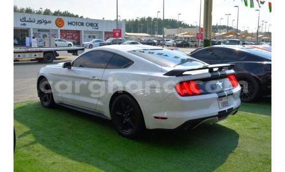 Buy Import Ford Mustang White Car in Import - Dubai in Ashanti Buy Import Ford Mustang White Car in Import - Dubai in Ashanti