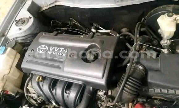 Ra Àlòkù Toyota Corolla funfun Ọkọ̀ in Iwọn didun ni Oorun Ra Àlòkù Toyota Corolla funfun Ọkọ̀ in Iwọn didun ni Oorun