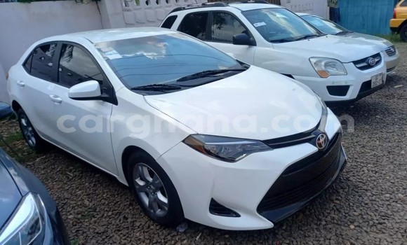 Sayi Na hannu Toyota Corolla White Mota in Accra a Greater Accra