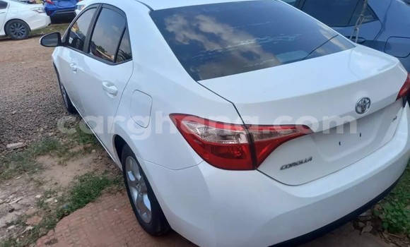 Sayi Na hannu Toyota Corolla White Mota in Accra a Greater Accra Sayi Na hannu Toyota Corolla White Mota in Accra a Greater Accra