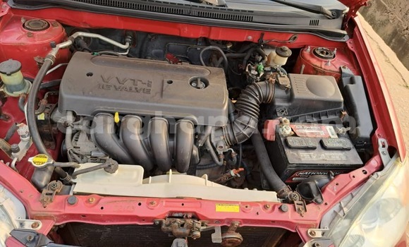 Ra Àlòkù Toyota Corolla Red Ọkọ̀ in Iwọn didun ni Oorun Ra Àlòkù Toyota Corolla Red Ọkọ̀ in Iwọn didun ni Oorun