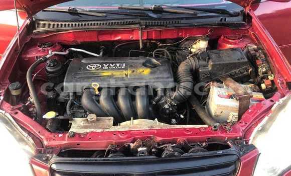 Buy Used Toyota Corolla Red Car in Accra in Greater Accra Buy Used Toyota Corolla Red Car in Accra in Greater Accra