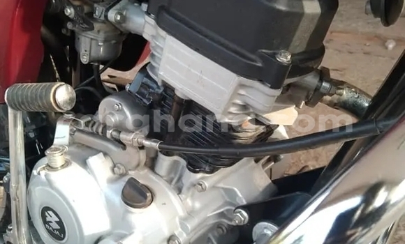 Buy Used Boxer BM100 Red Bike in Axim in Western Buy Used Boxer BM100 Red Bike in Axim in Western