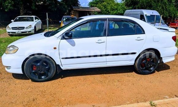 Sayi Na hannu Toyota Corolla Sauran Mota in Accra a Greater Accra Sayi Na hannu Toyota Corolla Sauran Mota in Accra a Greater Accra