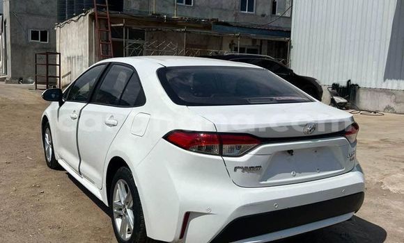 Sayi Na hannu Toyota Corolla White Mota in Accra a Greater Accra Sayi Na hannu Toyota Corolla White Mota in Accra a Greater Accra