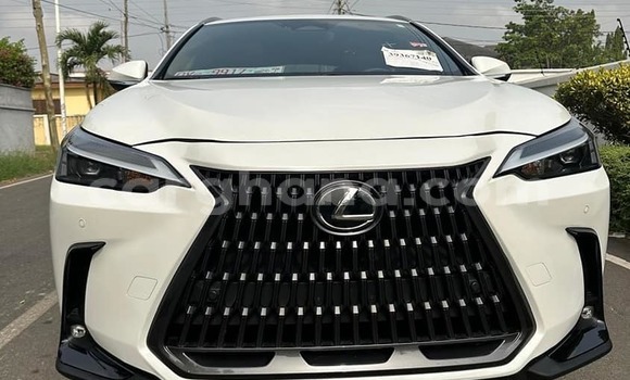 Ra Àlòkù Lexus NX funfun Ọkọ̀ in Accra ni Greater Accra
