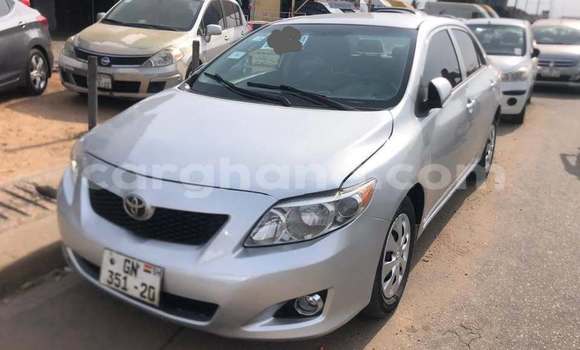 Buy Used Toyota Corolla Other Car in Accra in Greater Accra
