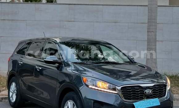 Buy Used Kia Sorento Other Car in Accra in Greater Accra