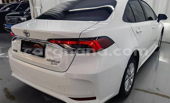 Sayi Na hannu Toyota Corolla White Mota in Accra a Greater Accra Sayi Na hannu Toyota Corolla White Mota in Accra a Greater Accra