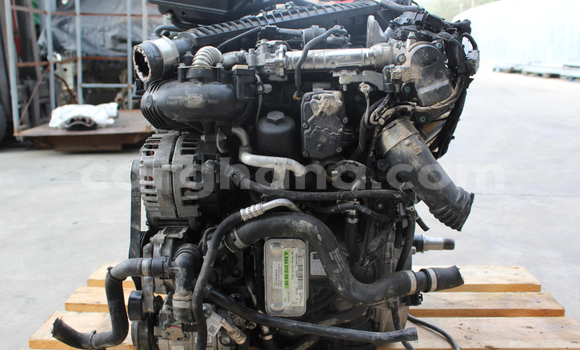 Medium with watermark s l16003