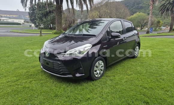 Buy Used Toyota Vitz Black Car in Accra in Greater Accra