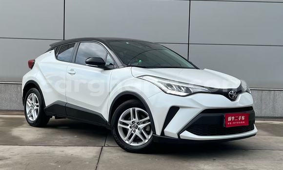 Buy Used Toyota C-HR White Car in Tema in Greater Accra