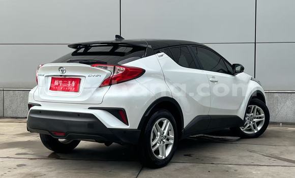 Buy Used Toyota C-HR White Car in Tema in Greater Accra Buy Used Toyota C-HR White Car in Tema in Greater Accra
