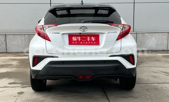 Buy Used Toyota C-HR White Car in Tema in Greater Accra Buy Used Toyota C-HR White Car in Tema in Greater Accra