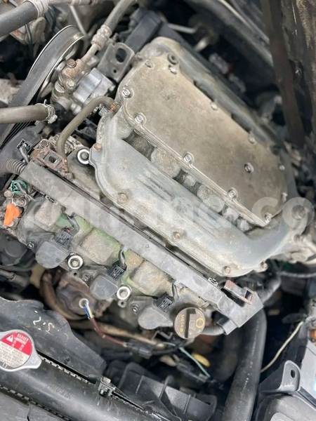 Big with watermark honda crosstour eastern ada 60807