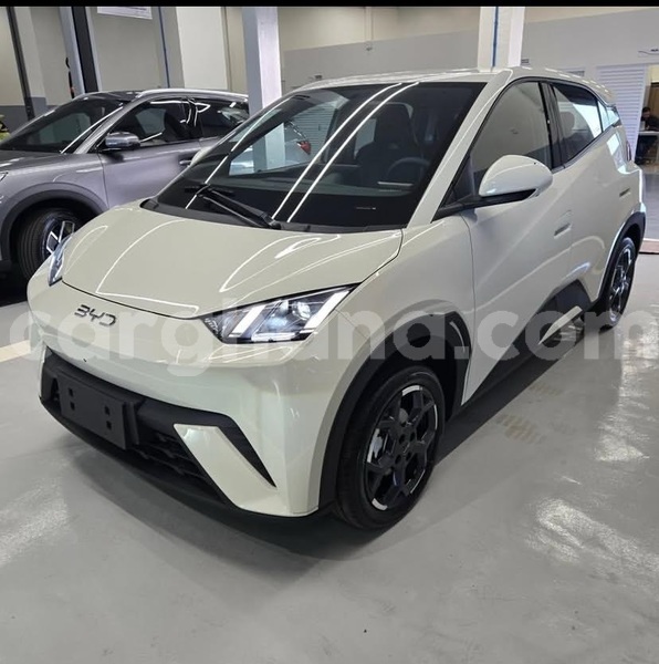 Big with watermark byd seagull greater accra accra 60887