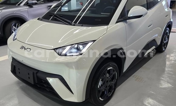 Buy Used BYD Seagull White Car in Accra in Greater Accra