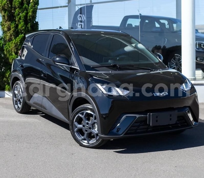 Big with watermark byd seagull greater accra accra 60887