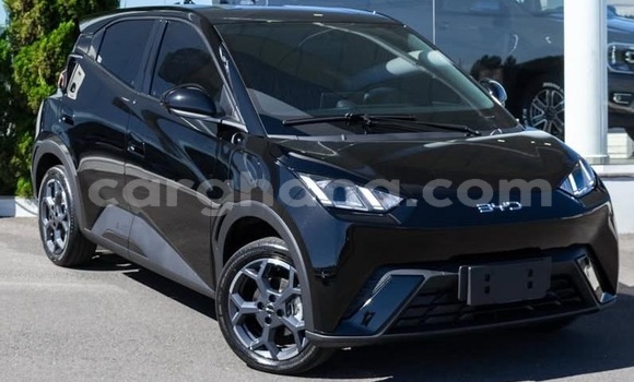 Buy Used BYD Seagull White Car in Accra in Greater Accra Buy Used BYD Seagull White Car in Accra in Greater Accra