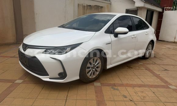 Buy Used Toyota Corolla White Car in Accra in Greater Accra