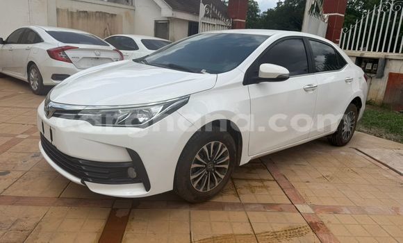 Buy Used Toyota Corolla White Car in Accra in Greater Accra