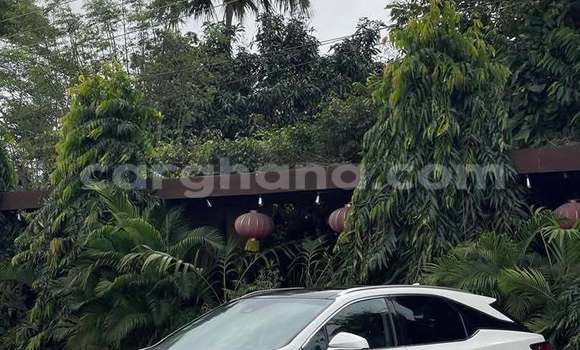 Buy Used Lexus RX White Car in Accra in Greater Accra