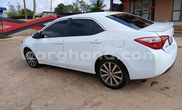 Buy Used Toyota Corolla White Car in Accra in Greater Accra Buy Used Toyota Corolla White Car in Accra in Greater Accra